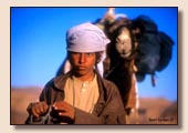 Bedouins Egypte